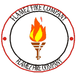 Flamez Fire Company Logo